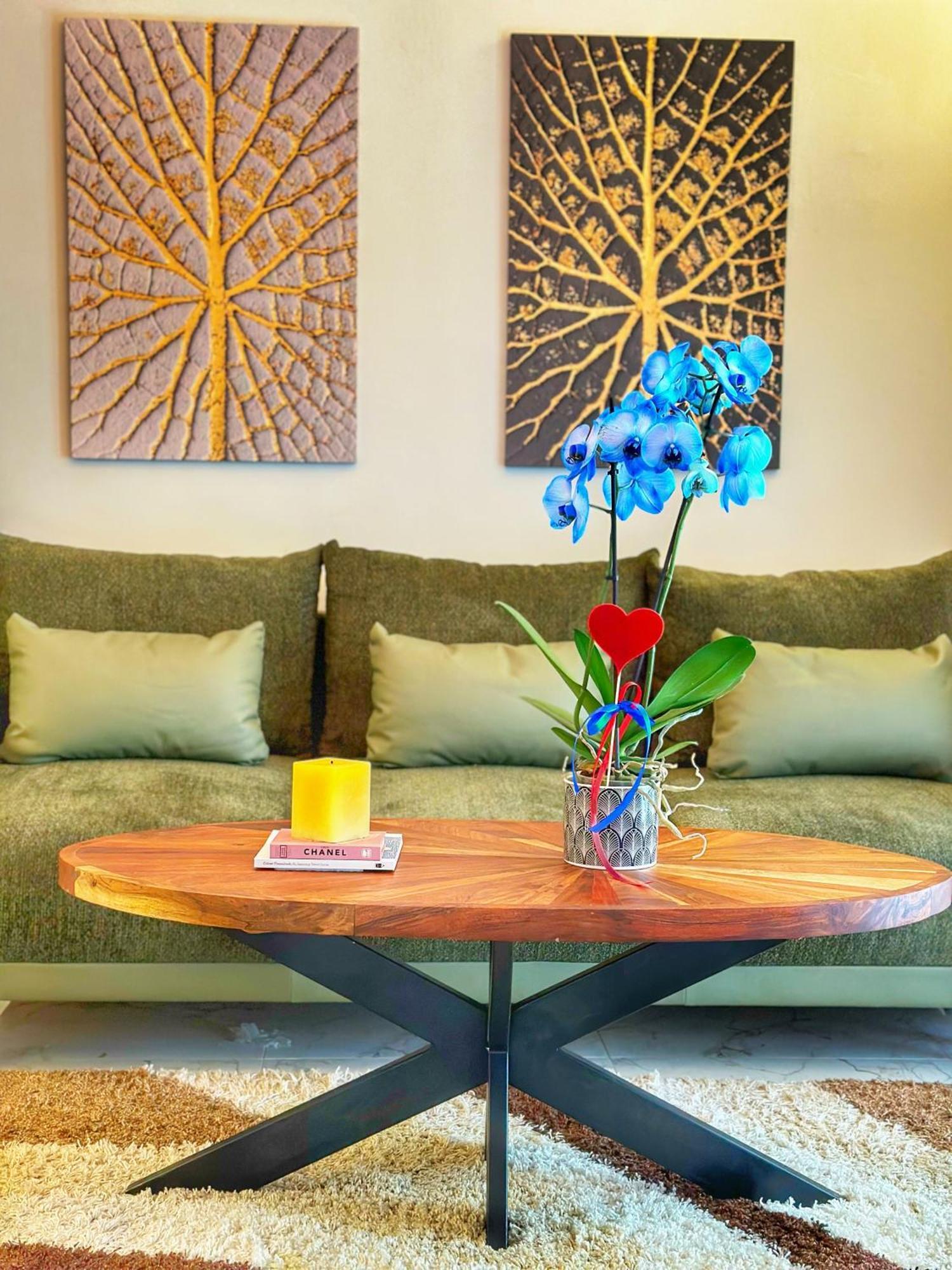 Psimithefto Luxury Apartament *